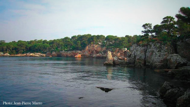 Cliffs on the coastline of the Cap d'Antibes